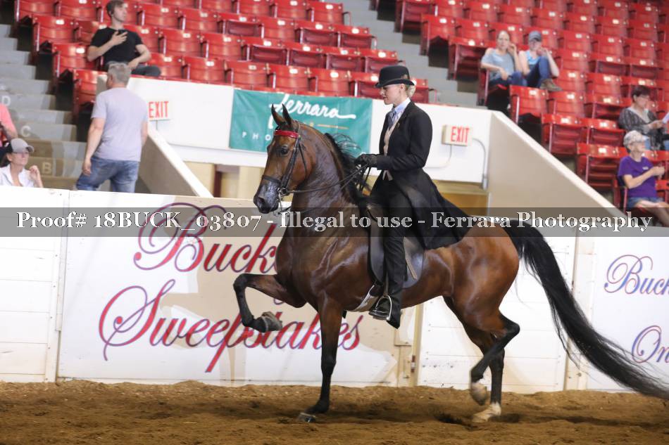 Proof 18BUCK_03807