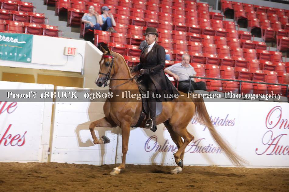 Proof 18BUCK_03808