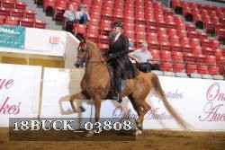 18BUCK_03808 proof