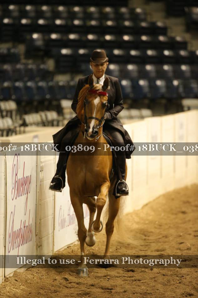 Proof 18BUCK_03809