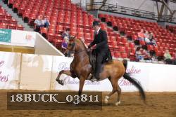 18BUCK_03811 proof