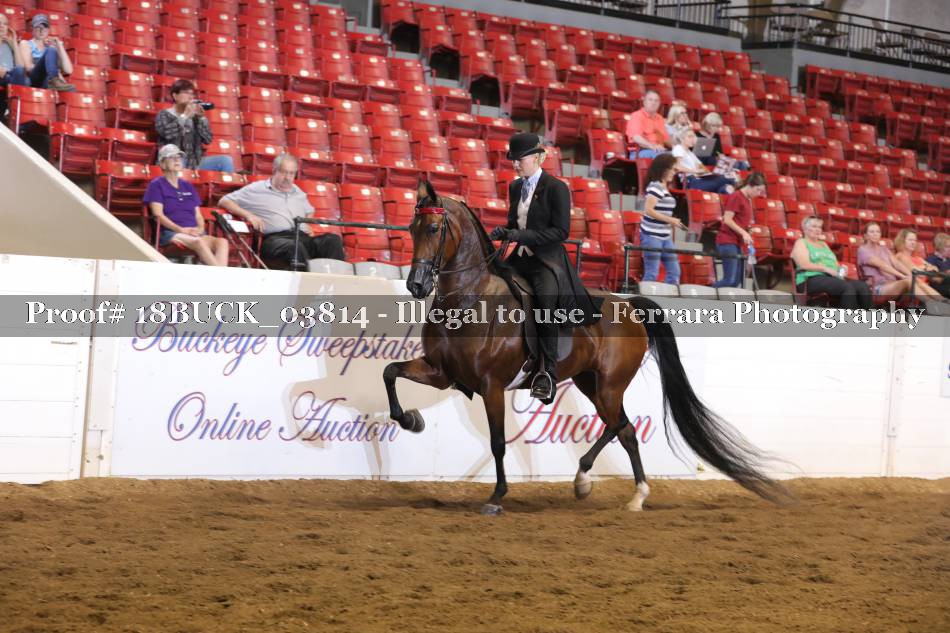 Proof 18BUCK_03814