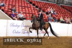 18BUCK_03814 proof