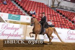 18BUCK_03816 proof