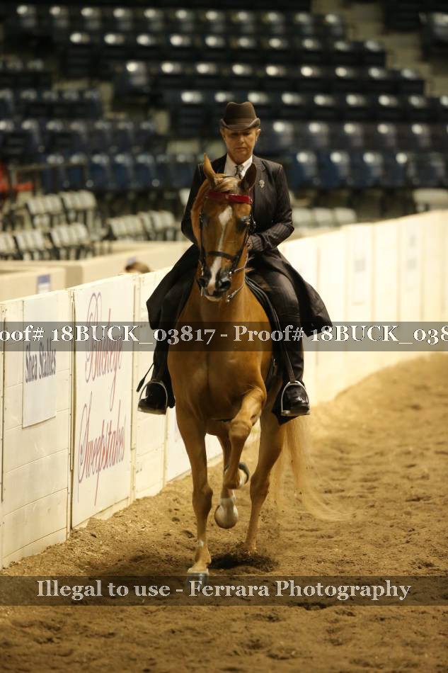 Proof 18BUCK_03817