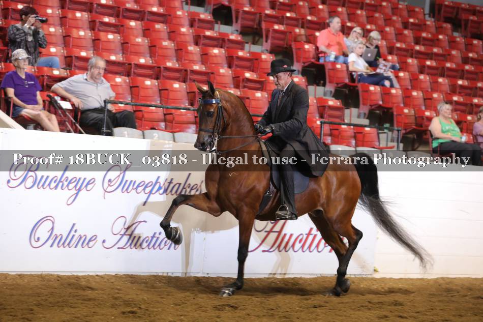 Proof 18BUCK_03818