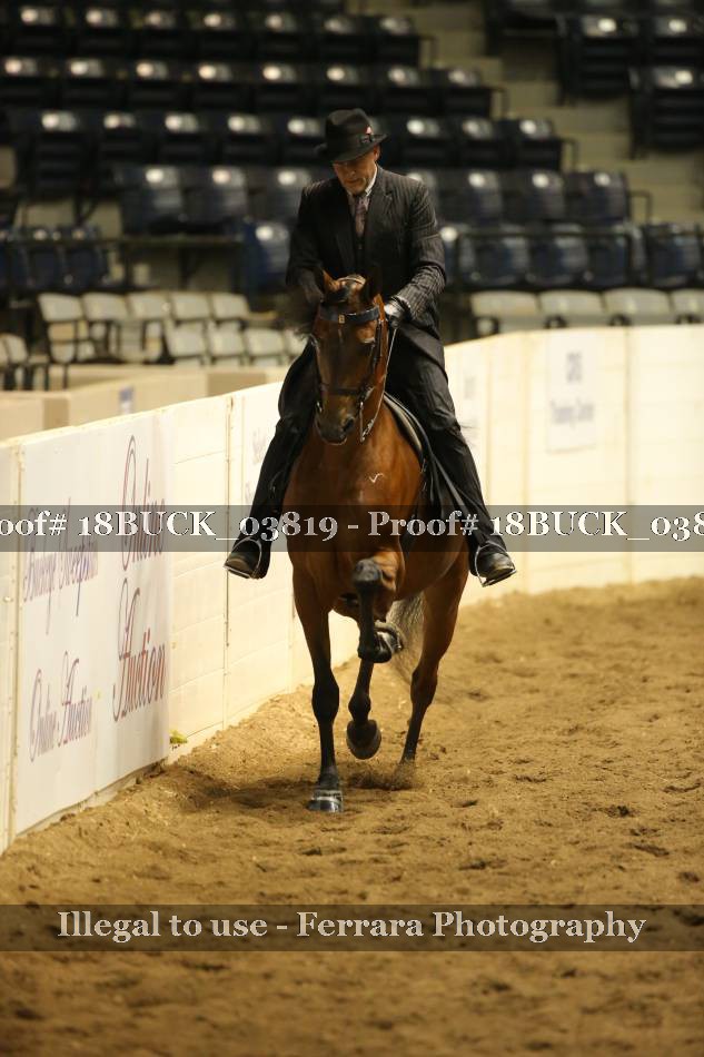 Proof 18BUCK_03819