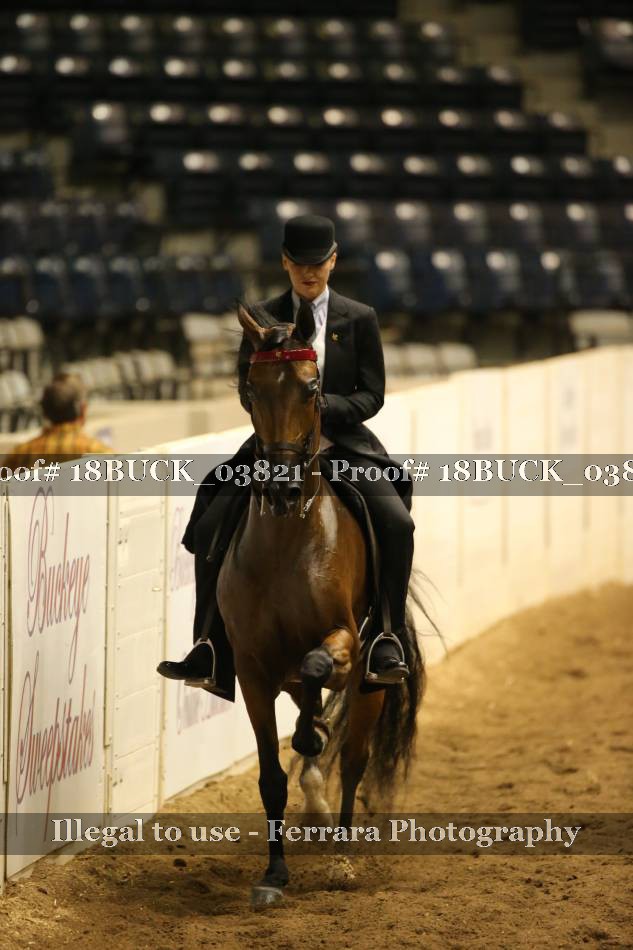Proof 18BUCK_03821