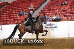 18BUCK_03822 proof