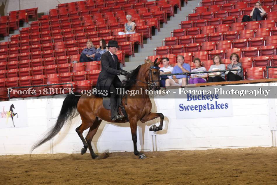 Proof 18BUCK_03823