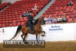 18BUCK_03823 proof