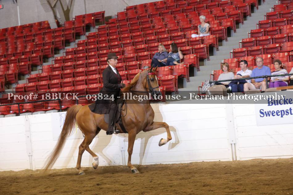 Proof 18BUCK_03824