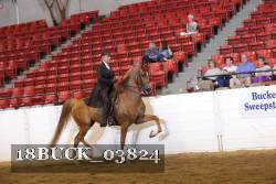 18BUCK_03824 proof