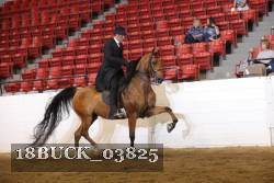 18BUCK_03825 proof