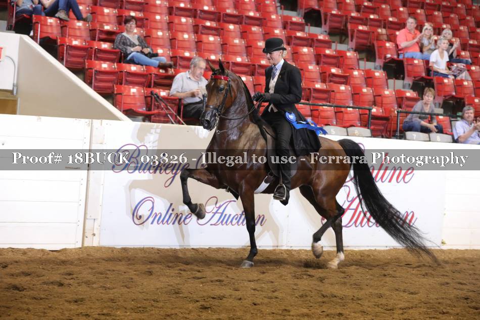 Proof 18BUCK_03826