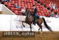 18BUCK_03826 proof