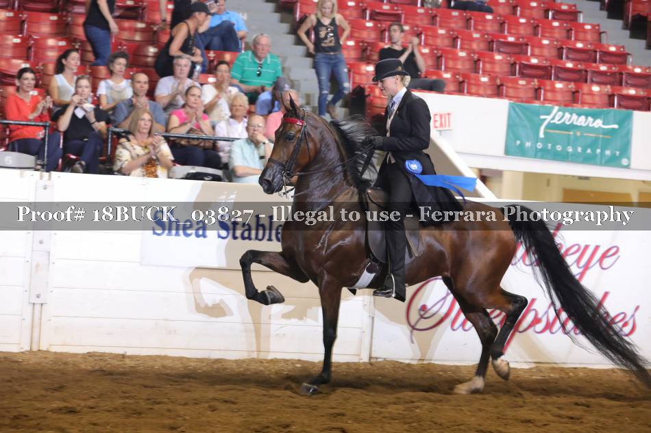 Proof 18BUCK_03827