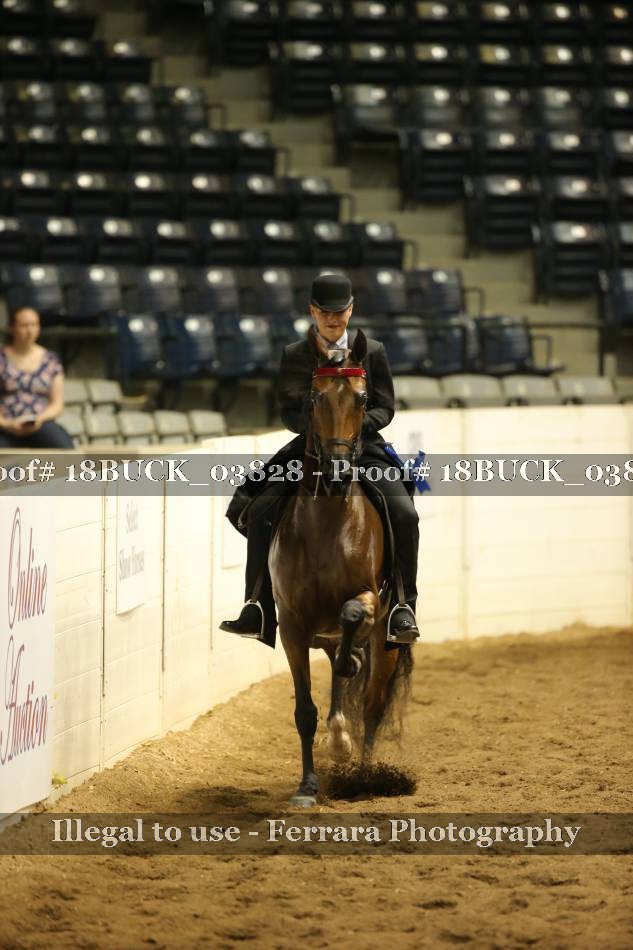 Proof 18BUCK_03828