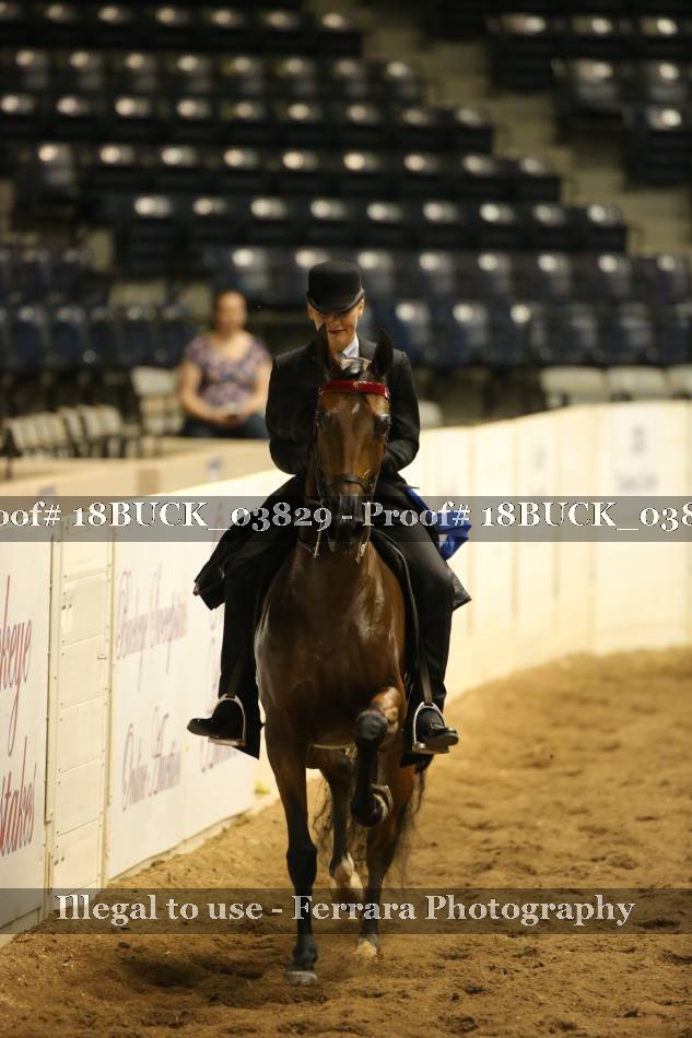 Proof 18BUCK_03829