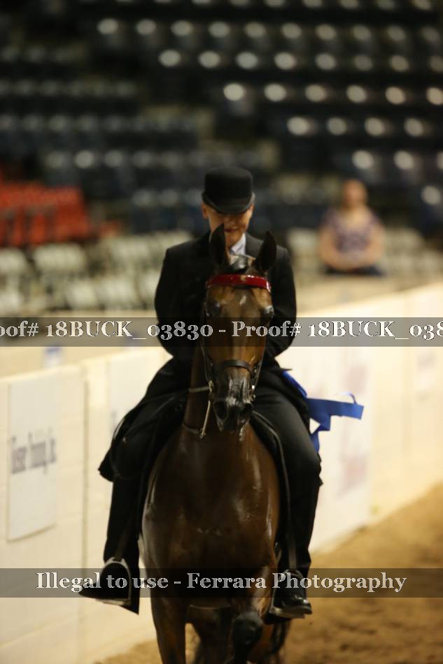Proof 18BUCK_03830
