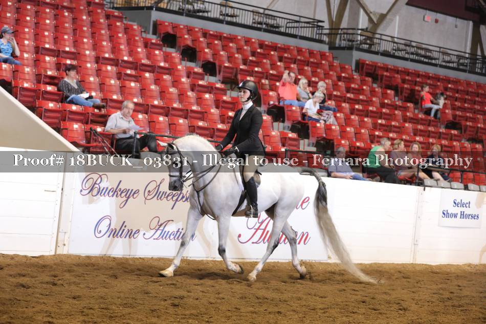 Proof 18BUCK_03831