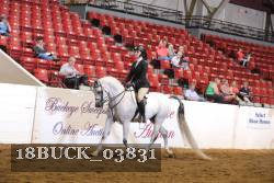 18BUCK_03831 proof