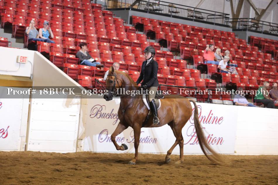 Proof 18BUCK_03832