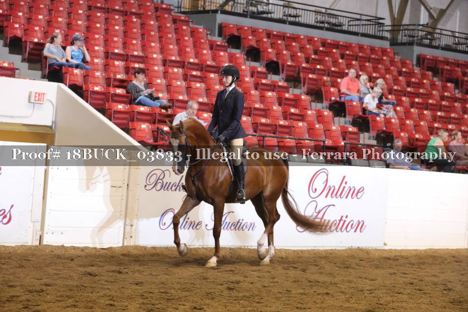 Proof 18BUCK_03833