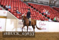 18BUCK_03833 proof