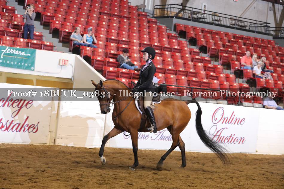 Proof 18BUCK_03834