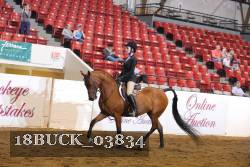 18BUCK_03834 proof