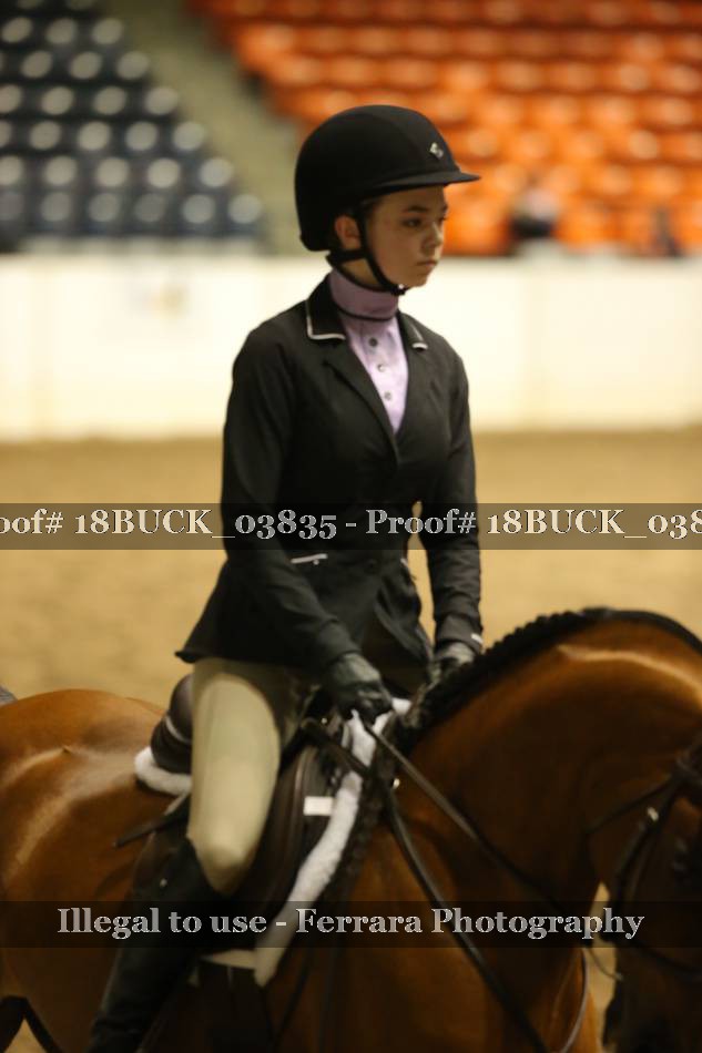 Proof 18BUCK_03835