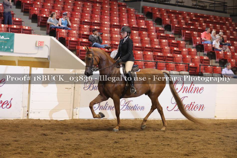 Proof 18BUCK_03836