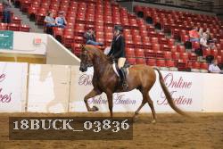 18BUCK_03836 proof