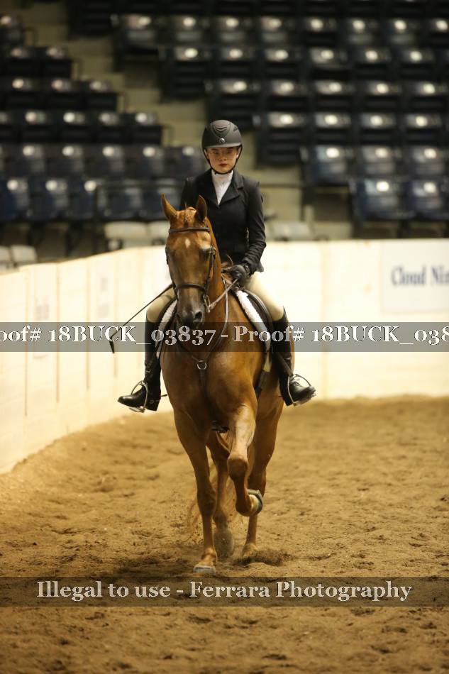 Proof 18BUCK_03837