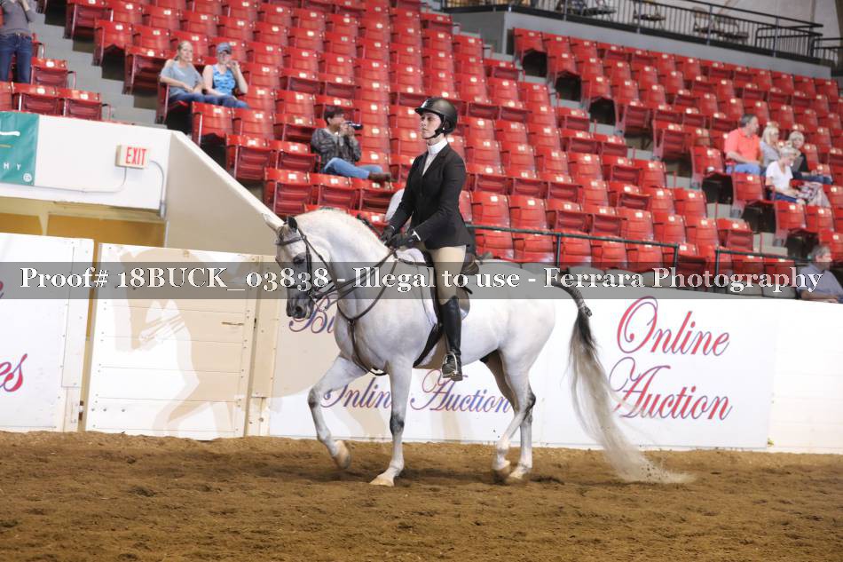 Proof 18BUCK_03838