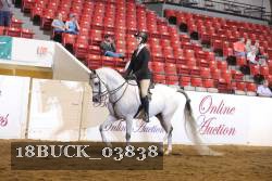 18BUCK_03838 proof