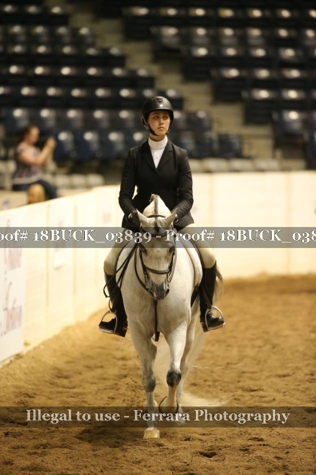 Proof 18BUCK_03839