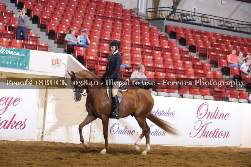 Proof 18BUCK_03840
