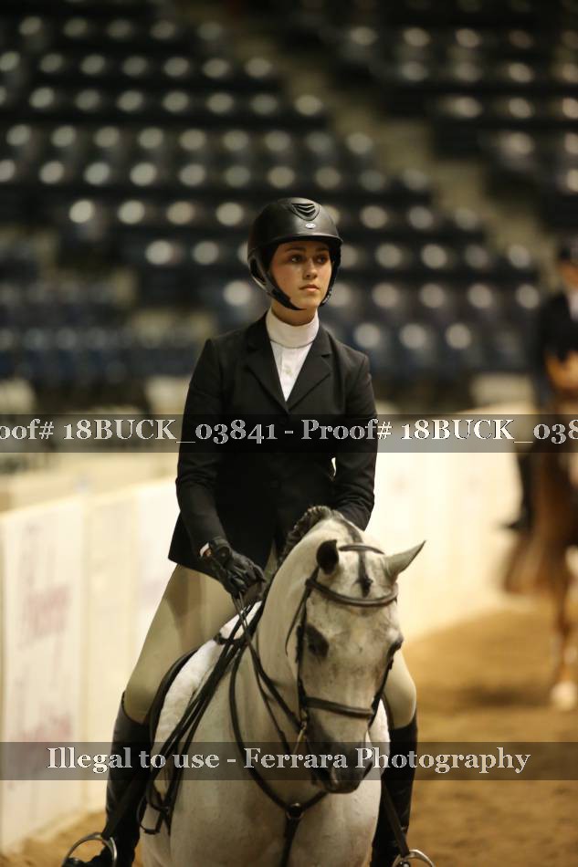 Proof 18BUCK_03841