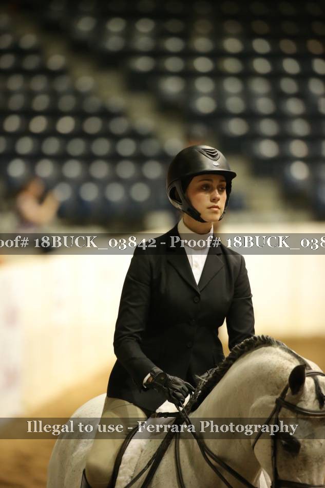 Proof 18BUCK_03842