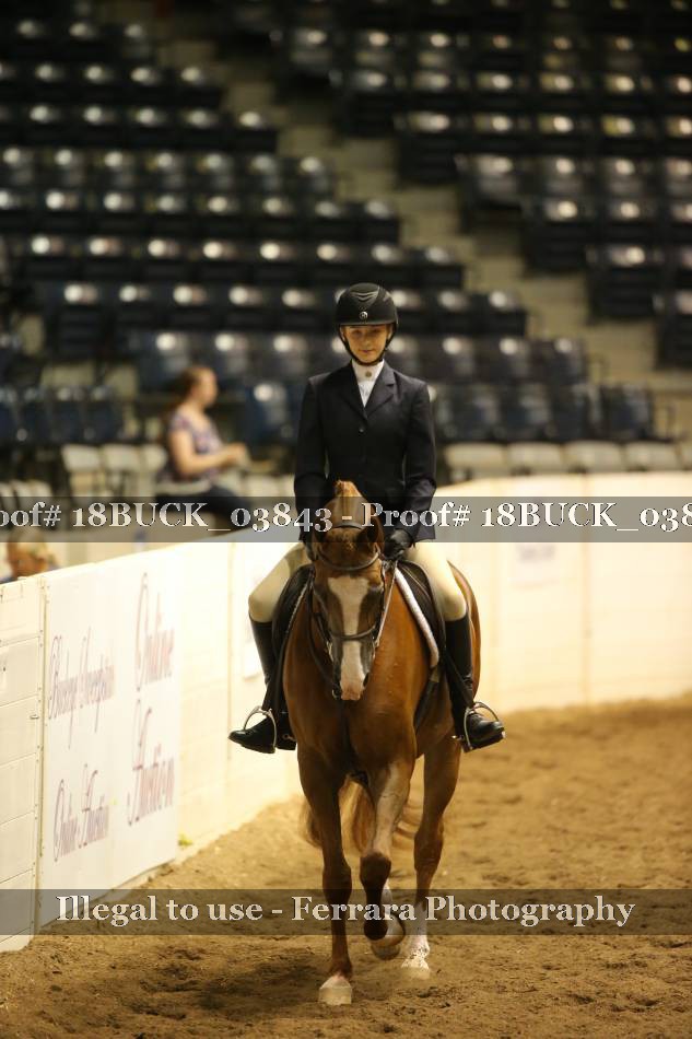 Proof 18BUCK_03843