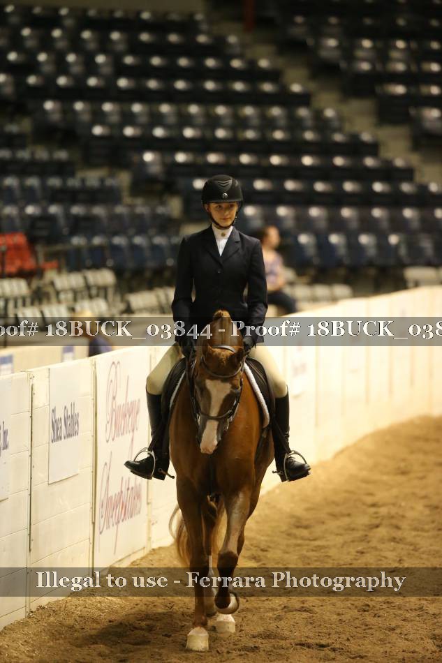 Proof 18BUCK_03844