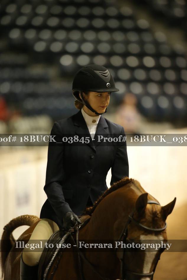 Proof 18BUCK_03845