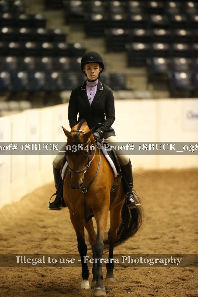 Proof 18BUCK_03846