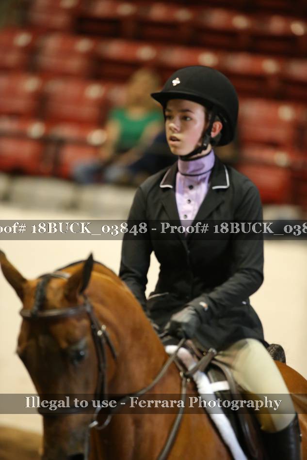 Proof 18BUCK_03848