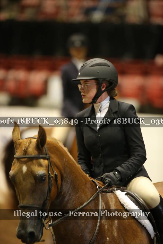 Proof 18BUCK_03849