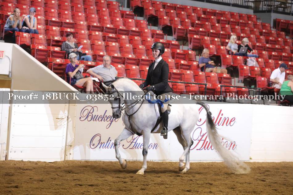 Proof 18BUCK_03852