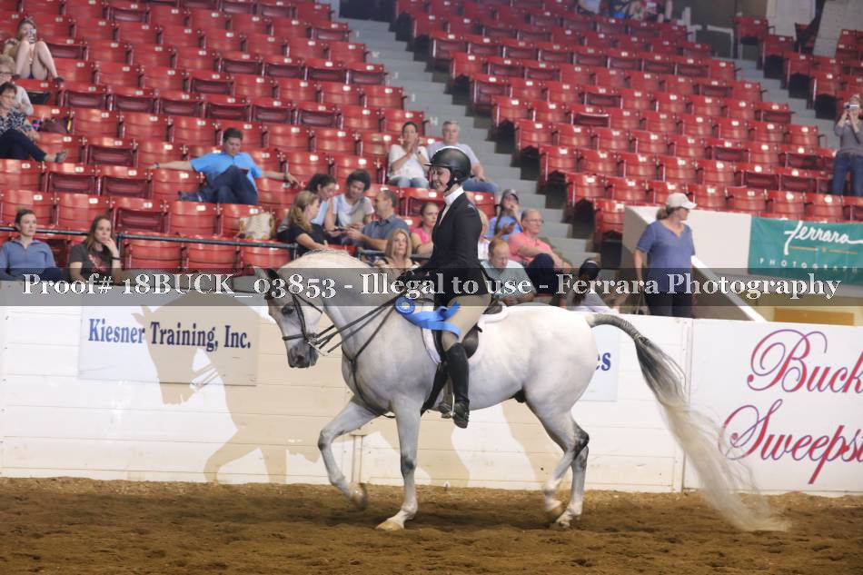 Proof 18BUCK_03853