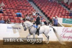 18BUCK_03853 proof